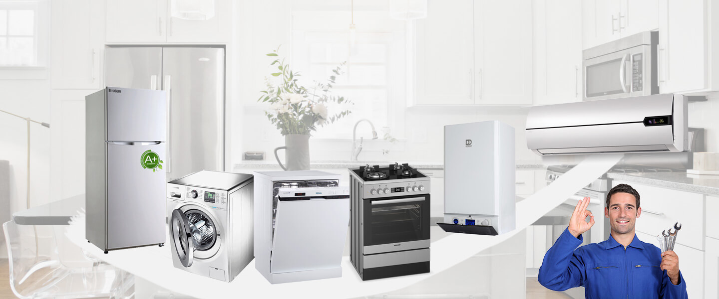 Develi Dominox Servisi